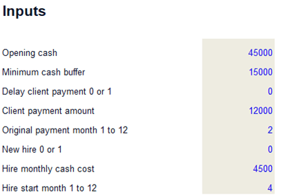 Excel input panel with opening cash, minimum buffer, payment delay and hiring scenario controls